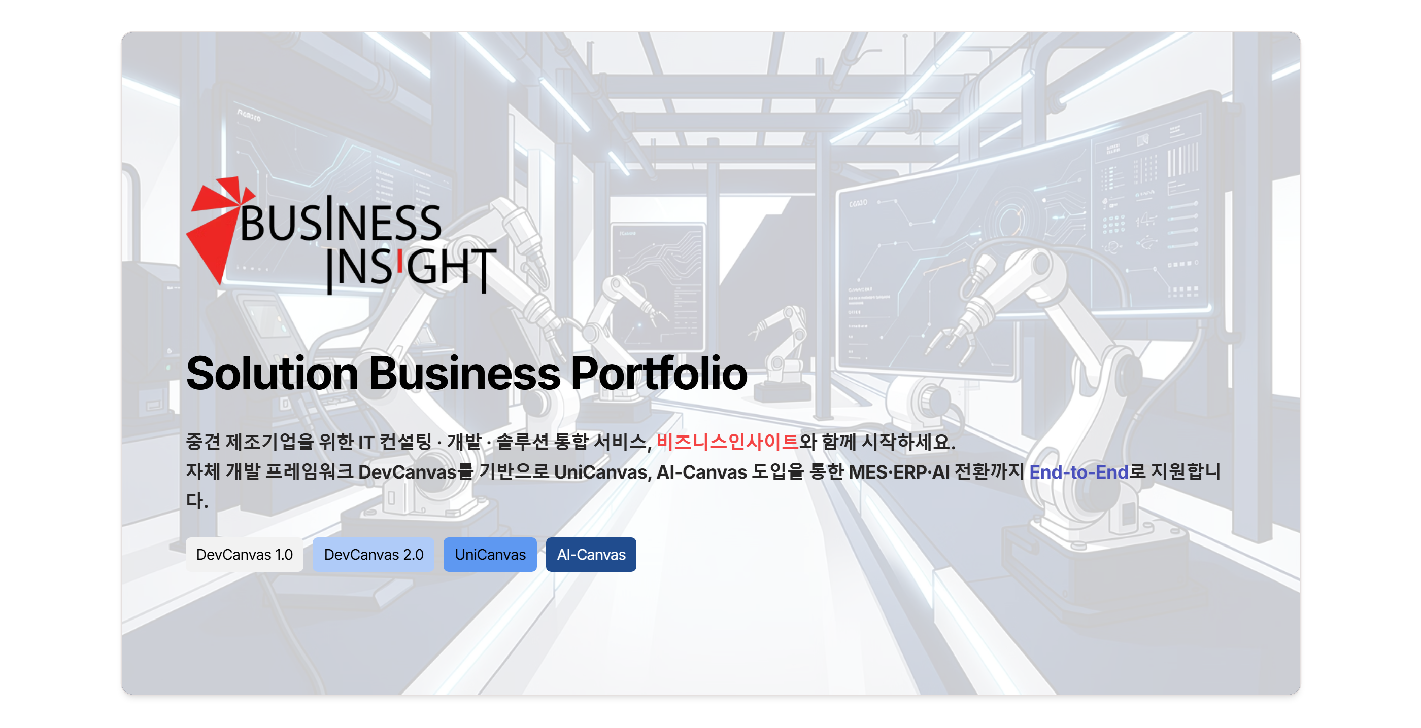 Business Insight Solution Portfolio